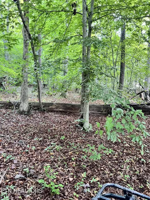 Eli Lane, Oneida, TN 37841 photo 5