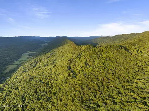 Spruce Pine Rd, Mooresburg, TN 37811