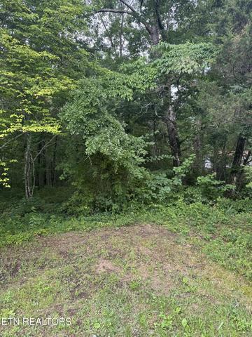 Timothy Drive, Crossville, TN 38572
