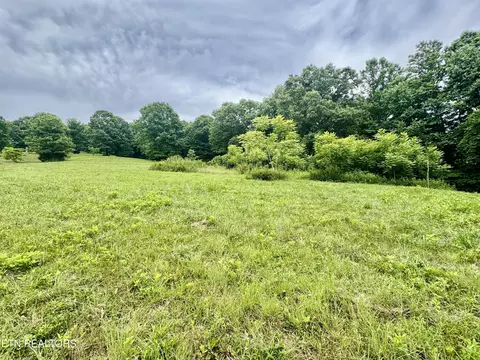 378 Johnson Hollow Rd, New Tazewell, TN 37825