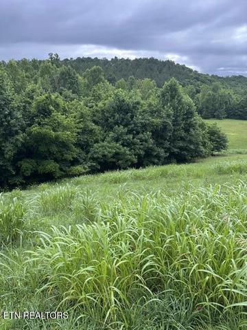 901 Mill Drive, Decatur, TN 37322