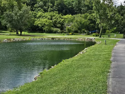 417 Mountain Thrush Dr, Townsend, TN 37882 photo 14