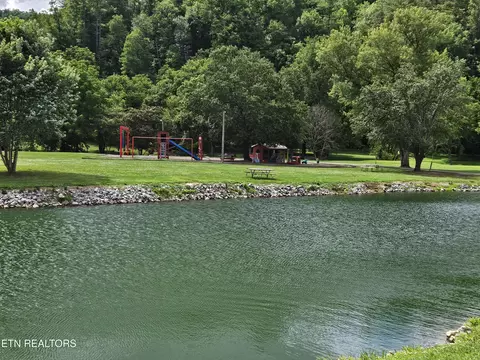 417 Mountain Thrush Dr, Townsend, TN 37882 photo 8