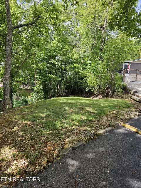 417 Mountain Thrush Dr, Townsend, TN 37882 photo 3
