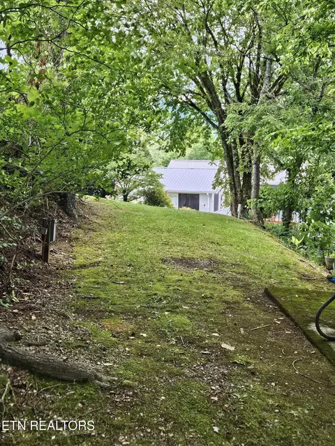 417 Mountain Thrush Dr, Townsend, TN 37882 photo 11