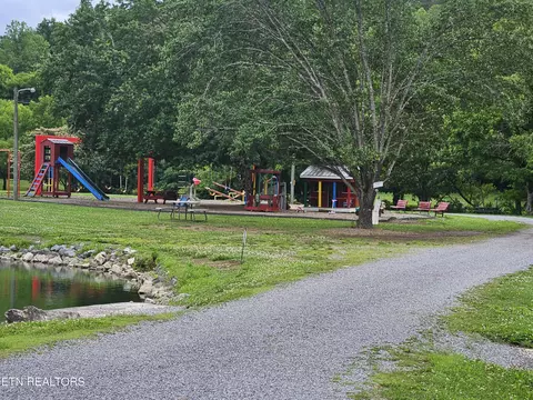 417 Mountain Thrush Dr, Townsend, TN 37882 photo 6