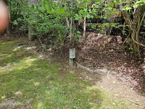 417 Mountain Thrush Dr, Townsend, TN 37882 photo 9