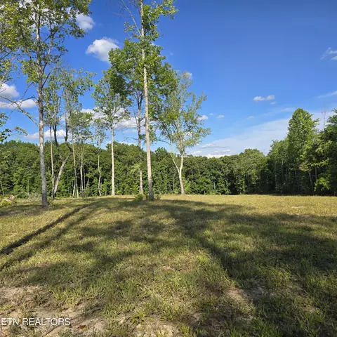 80 Ac Red Hill Rd, Sunbright, TN 37872