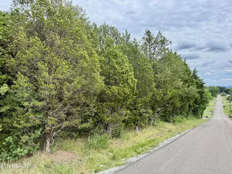 111 Britton Dr, Talbott, TN 37877 photo 1