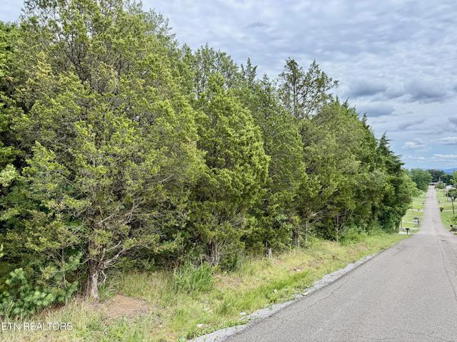 111 Britton Dr, Talbott, TN 37877