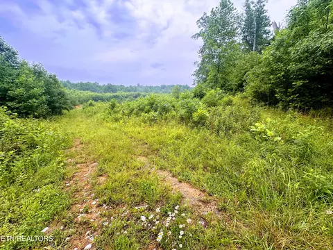 13 44 Chestnut Ridge Rd, Allardt, TN 38504