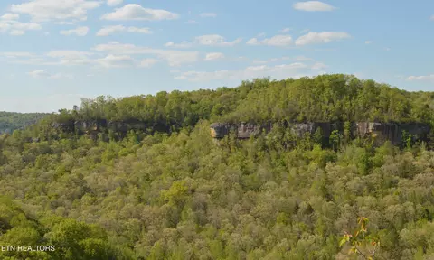 1501 Rob Watson Rd, Oneida, TN 37841