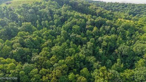 lot2 Graves Hollow Rd, Maynardville, TN 37807