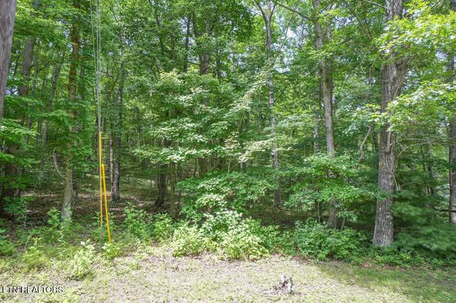 S Peterson Rd, Tallassee, TN 37878