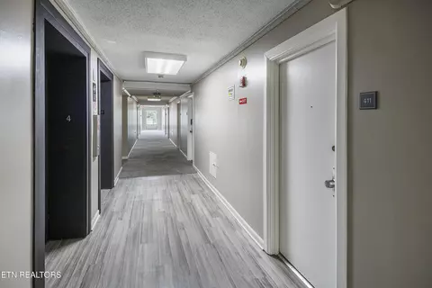 1700 Clinch Ave #411, Knoxville, TN 37916