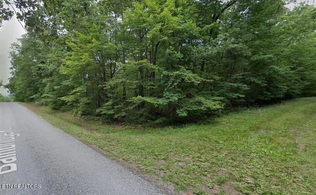 101 Rossmore Pl, Fairfield Glade, TN 38558