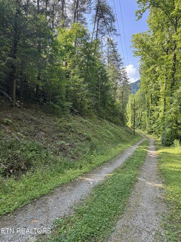 lot23 Walden Ridge Rd, Sevierville, TN 37862