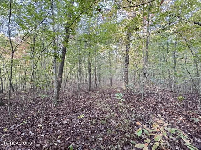 lot7 Crest View Dr, Sunbright, TN 37872