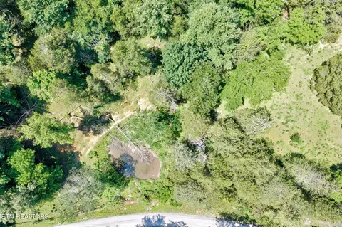 Other - 1252 Shellotte Loop, Pall Mall, TN 38577 photo 24 of 25