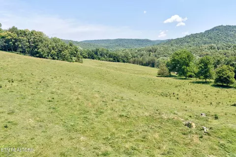 Other - 1252 Shellotte Loop, Pall Mall, TN 38577 photo 22 of 25