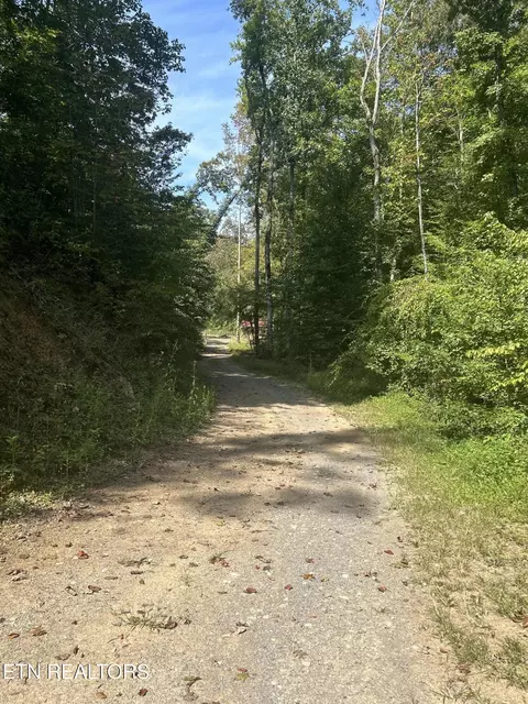 Other - 237 Foster Rd, Heiskell, TN 37754 photo 8 of 13