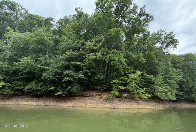 Old Chisholm Tr, Dandridge, TN 37725
