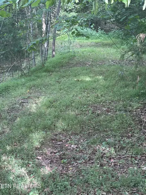 2327 Boat Dock Rd, Talbott, TN 37877 photo 9
