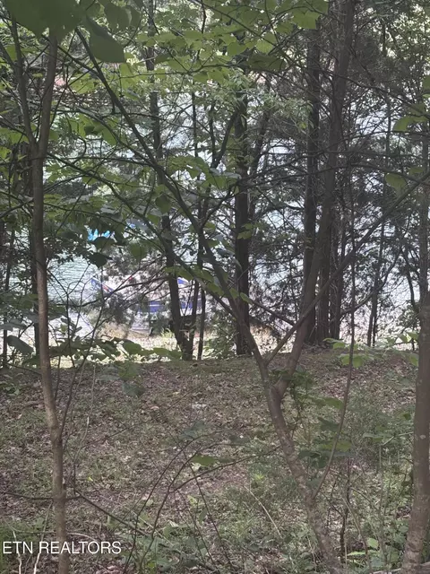 2327 Boat Dock Rd, Talbott, TN 37877 photo 3