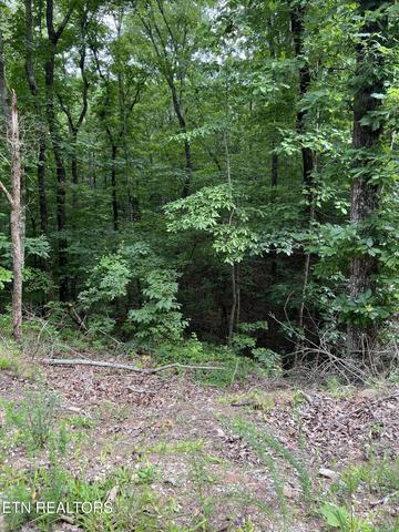 Three Point Rd, Vonore, TN 37885