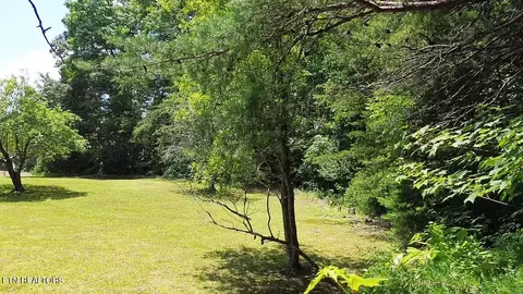Peacock Rd, Deer Lodge, TN 37726 photo 4