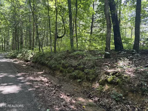 Peacock Rd, Deer Lodge, TN 37726 photo 3