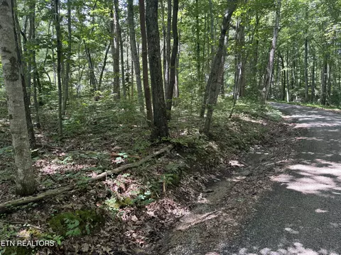Peacock Rd, Deer Lodge, TN 37726 photo 2