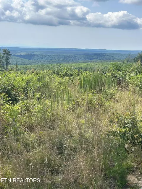 506 Sweeny Branch Rd, Spring City, TN 37381