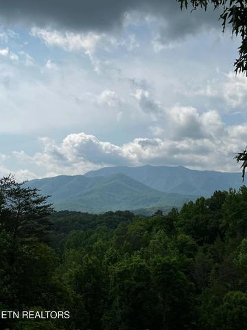 lot3 Powdermill Dr, Gatlinburg, TN 37738