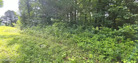 lot18 Pine Ln, Maynardville, TN 37807