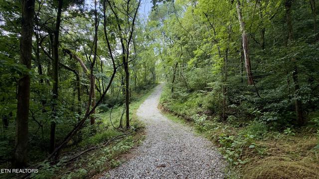 18 Ac E Main St, Dowelltown, TN 37059