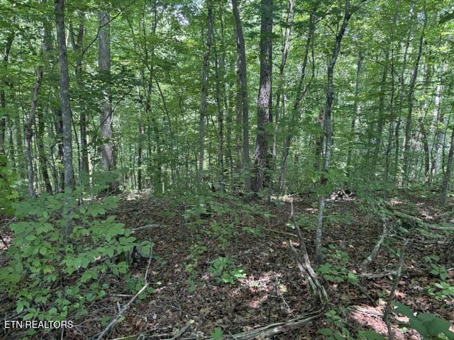 lot4 Hackworth Rd, Knoxville, TN 37931