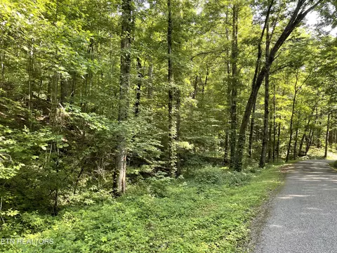 Turkey Creek Rd, Tellico Plains, TN 37385