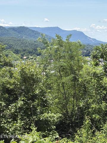 201 Cherry Laurel Dr #201, Pigeon Forge, TN 37863