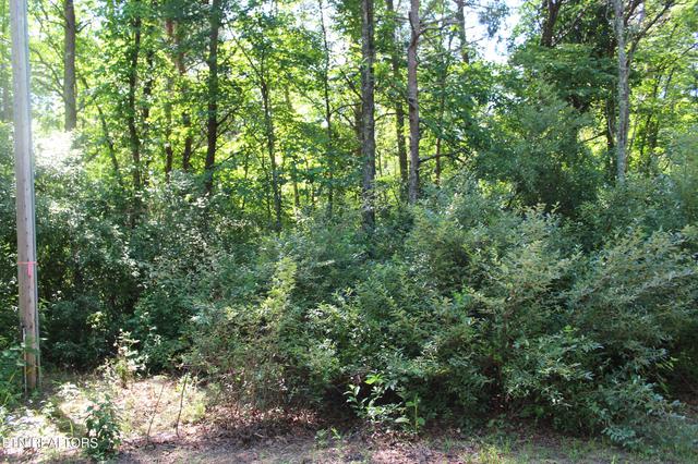 Goney Rd, Grimsley, TN 38565
