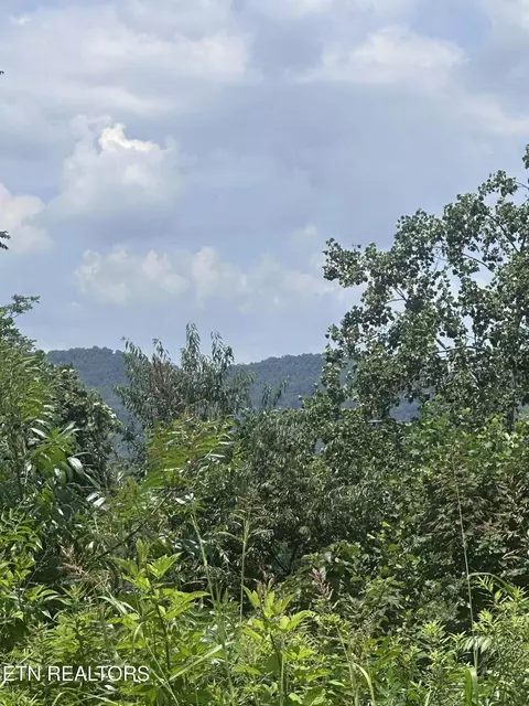 560 Low Valley Rd, Dandridge, TN 37725