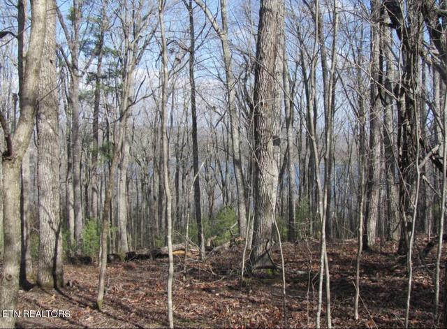 Markham Lane, Fairfield Glade, TN 38558