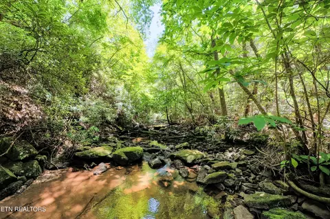 Leffle Webb Rd, Crossville, TN 38572