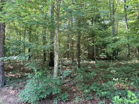 390 Georgee Rd, Jamestown, TN 38556