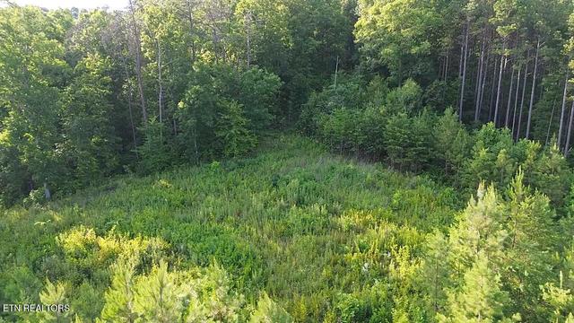 lot35 Winding Tr, Vonore, TN 37885