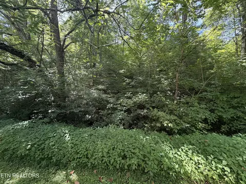 lot11 Smoky Mountain Way, Sevierville, TN 37876