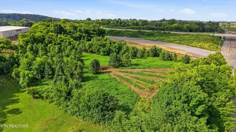 Cusick Rd, Rockford, TN 37853 photo 16