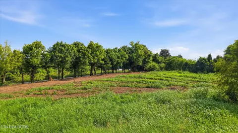 Cusick Rd, Rockford, TN 37853 photo 11