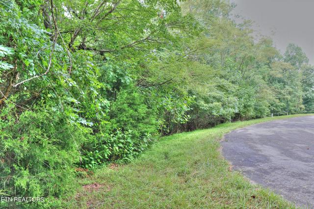 lot432 Beryl Ct, New Tazewell, TN 37825