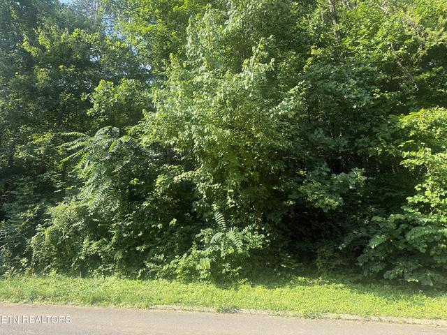 7021 Shalidar Dr, Knoxville, TN 37921